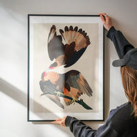Brazilian Eagle Vintage Bird Print