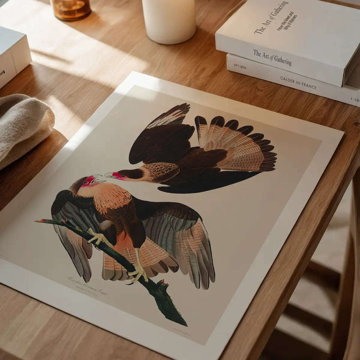 Brazilian Eagle Vintage Bird Print