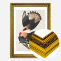 Gold Ornate Frame
