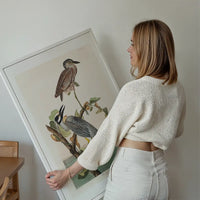 Yellow Crowned Heron Vintage Bird Print