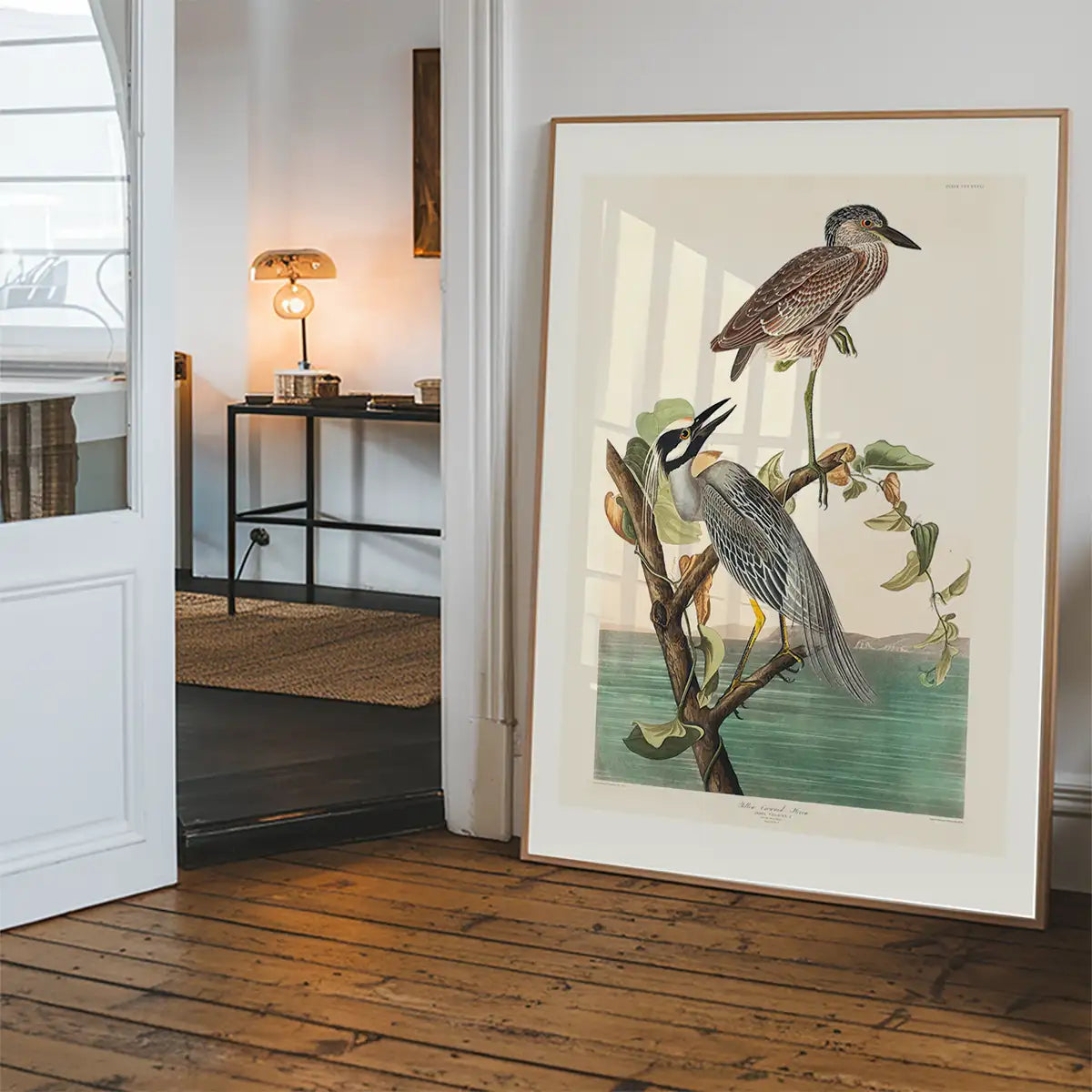 Yellow Crowned Heron Vintage Bird Print