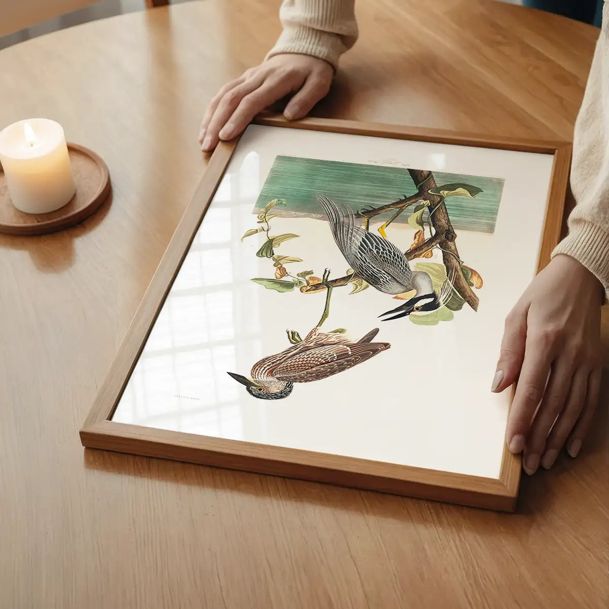 Yellow Crowned Heron Vintage Bird Print