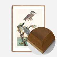 Yellow Crowned Heron Vintage Bird Print