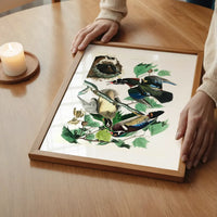 Wood Duck Vintage Bird Print