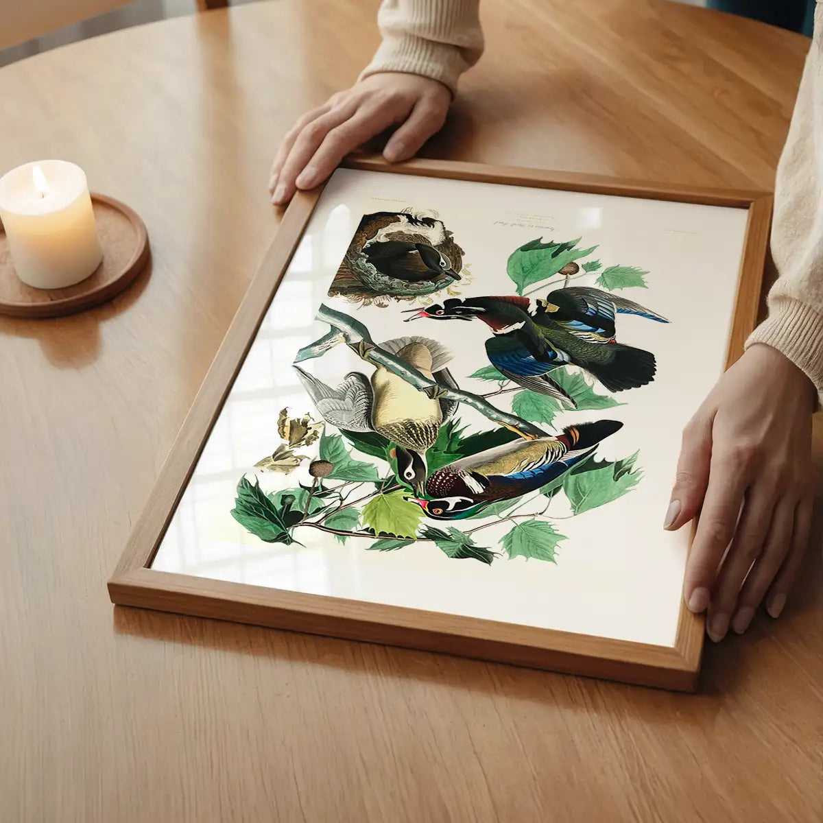 Wood Duck Vintage Bird Print