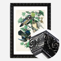 Wood Duck Vintage Bird Print