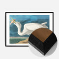 Black Wood Frame
