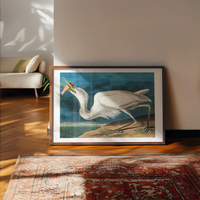 Great White Heron Vintage Bird Print