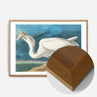 Great White Heron Vintage Bird Print