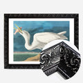 Black Ornate Frame