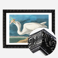 Great White Heron Vintage Bird Print