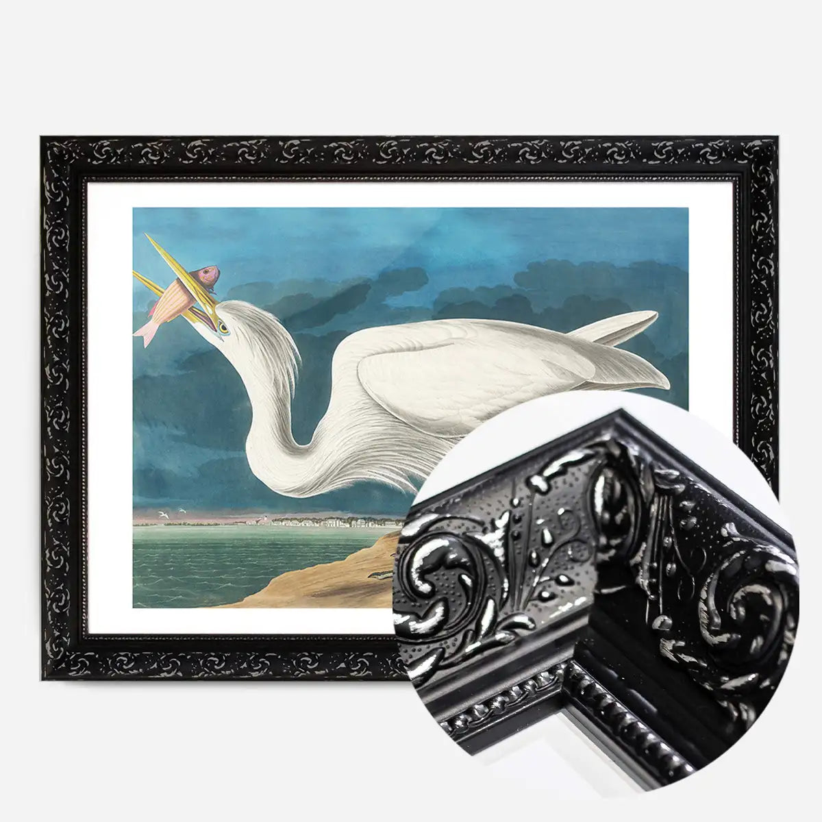 Great White Heron Vintage Bird Print