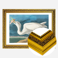Great White Heron Vintage Bird Print