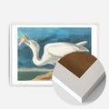White Wood Frame