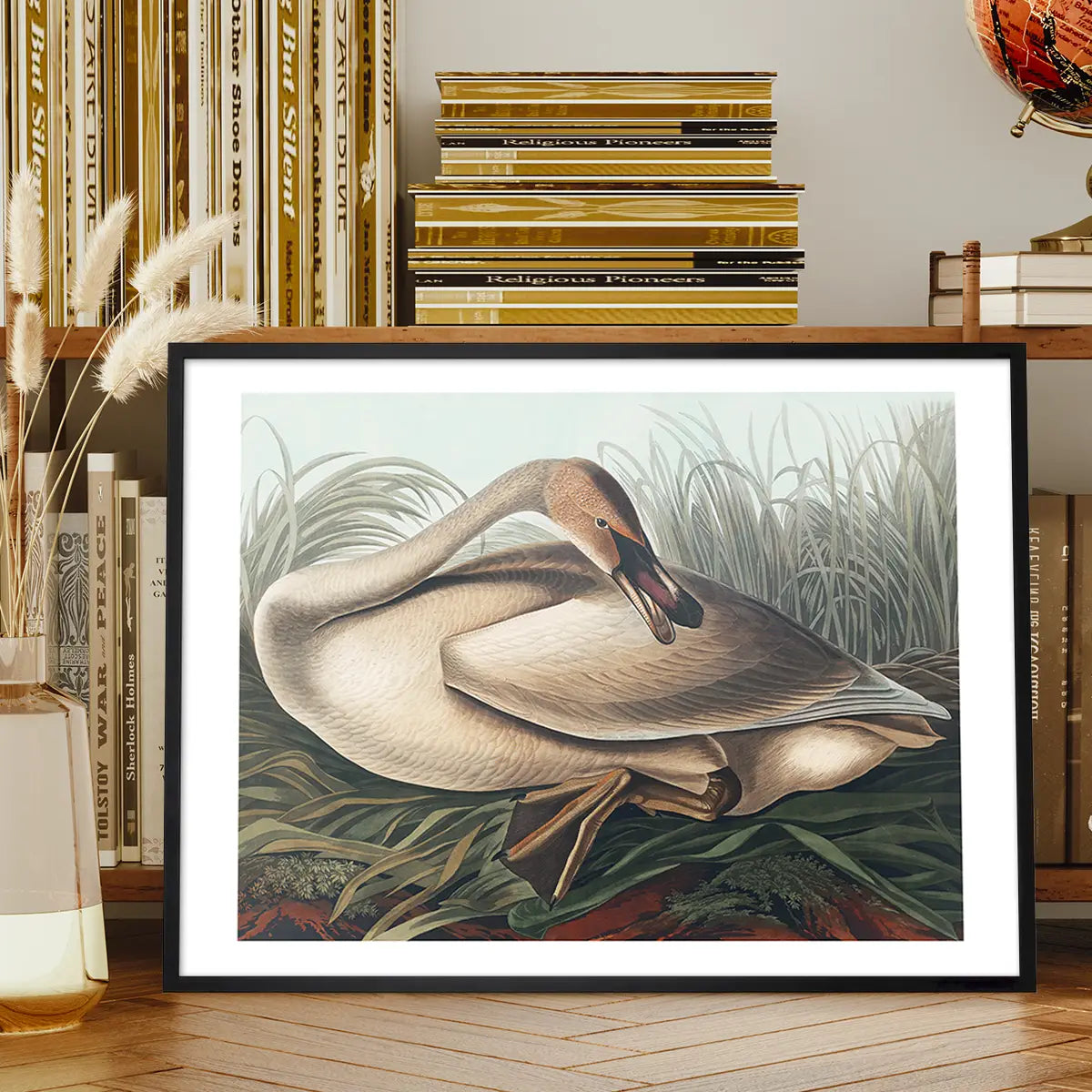 Trumpeter Swan Vintage Bird Print