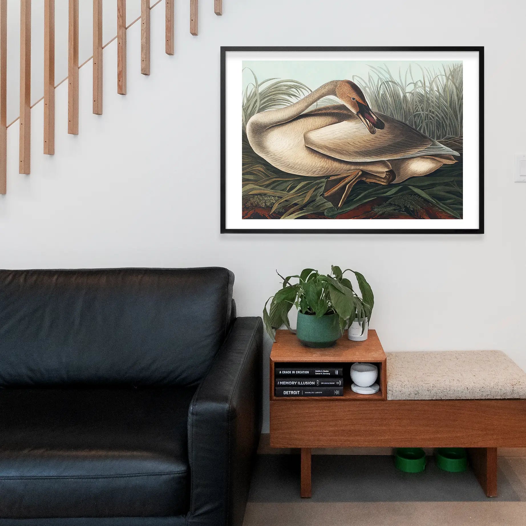 Trumpeter Swan Vintage Bird Print