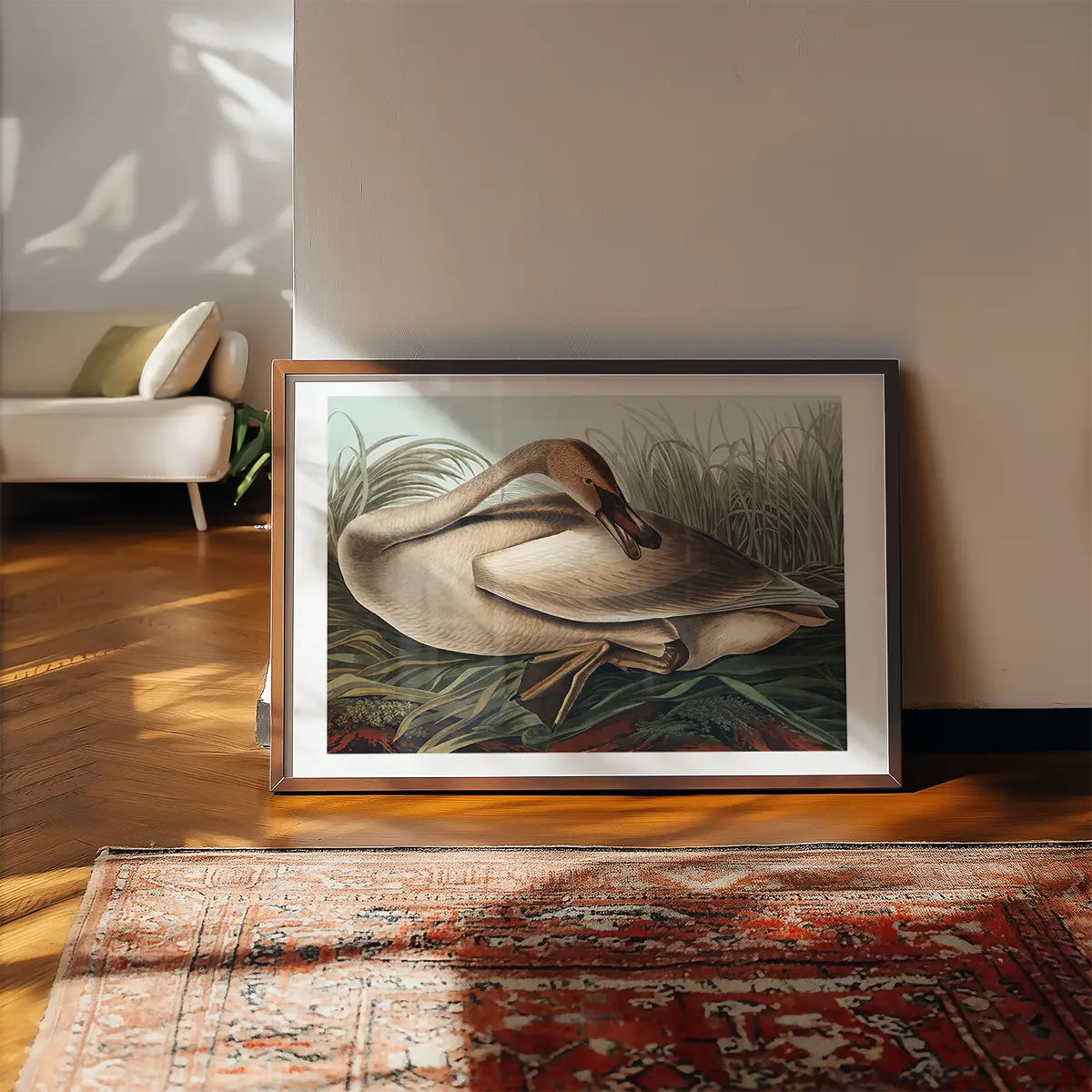 Trumpeter Swan Vintage Bird Print