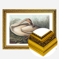 Trumpeter Swan Vintage Bird Print