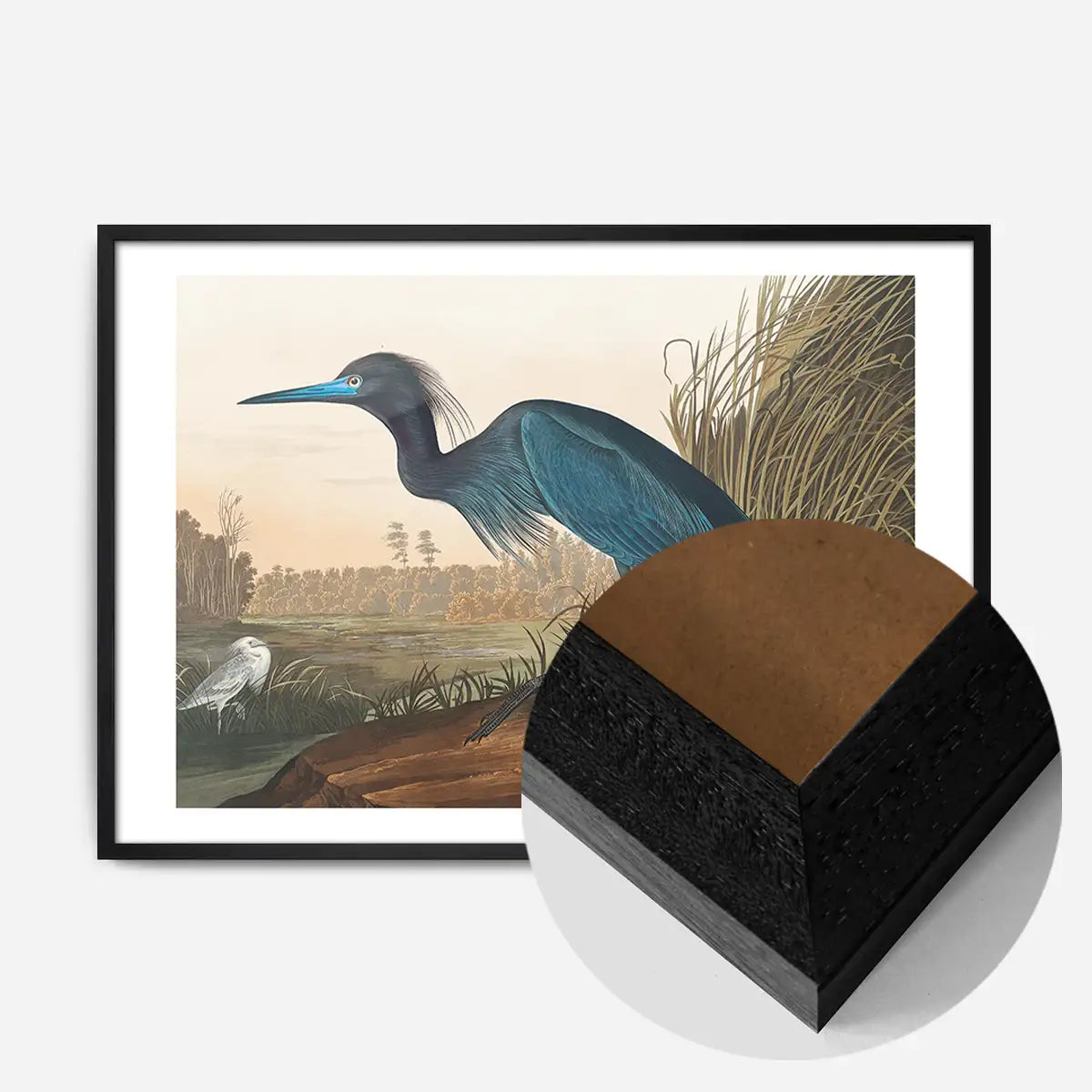 Blue Crane Vintage Bird Print