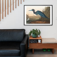 Blue Crane Vintage Bird Print