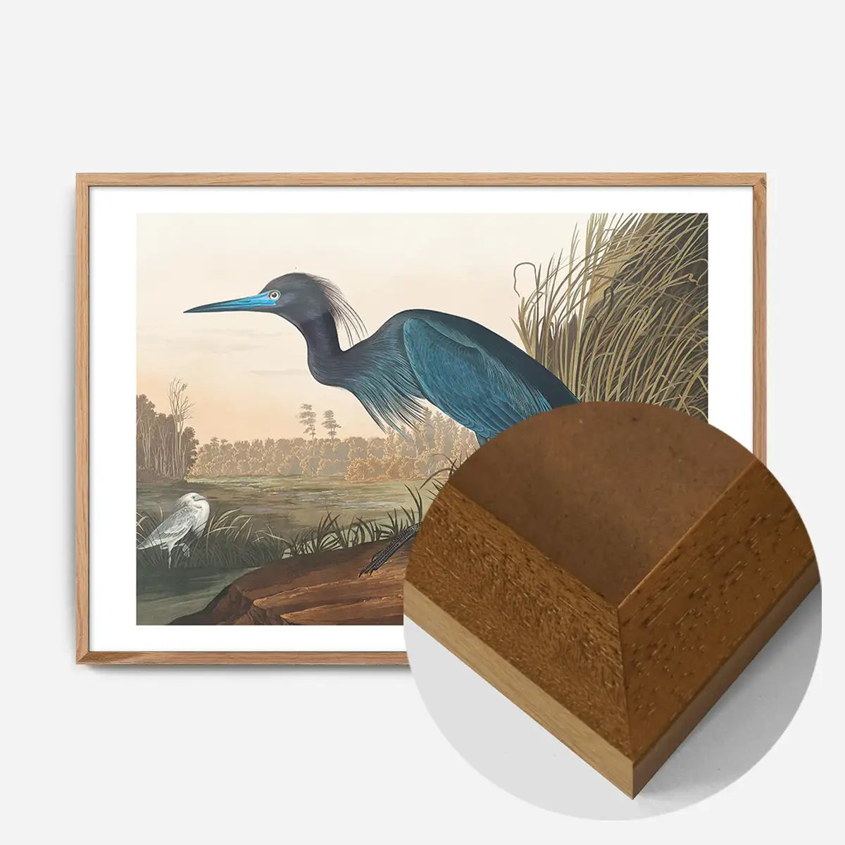 Blue Crane Vintage Bird Print
