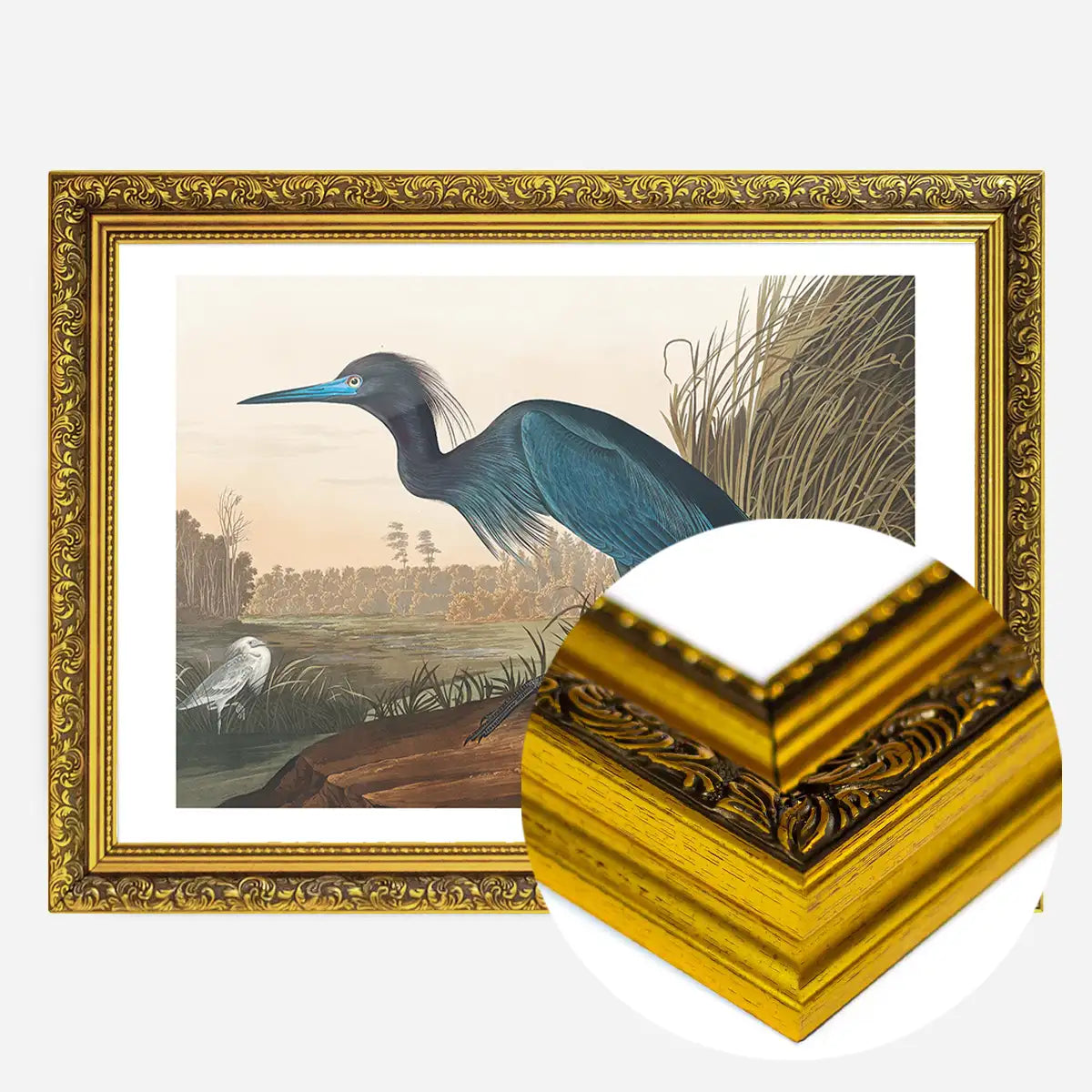 Blue Crane Vintage Bird Print