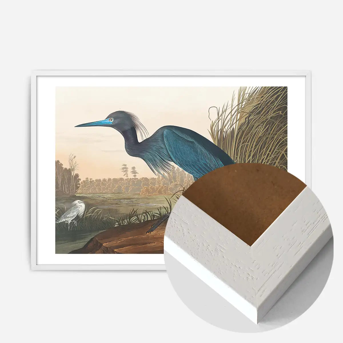 Blue Crane Vintage Bird Print