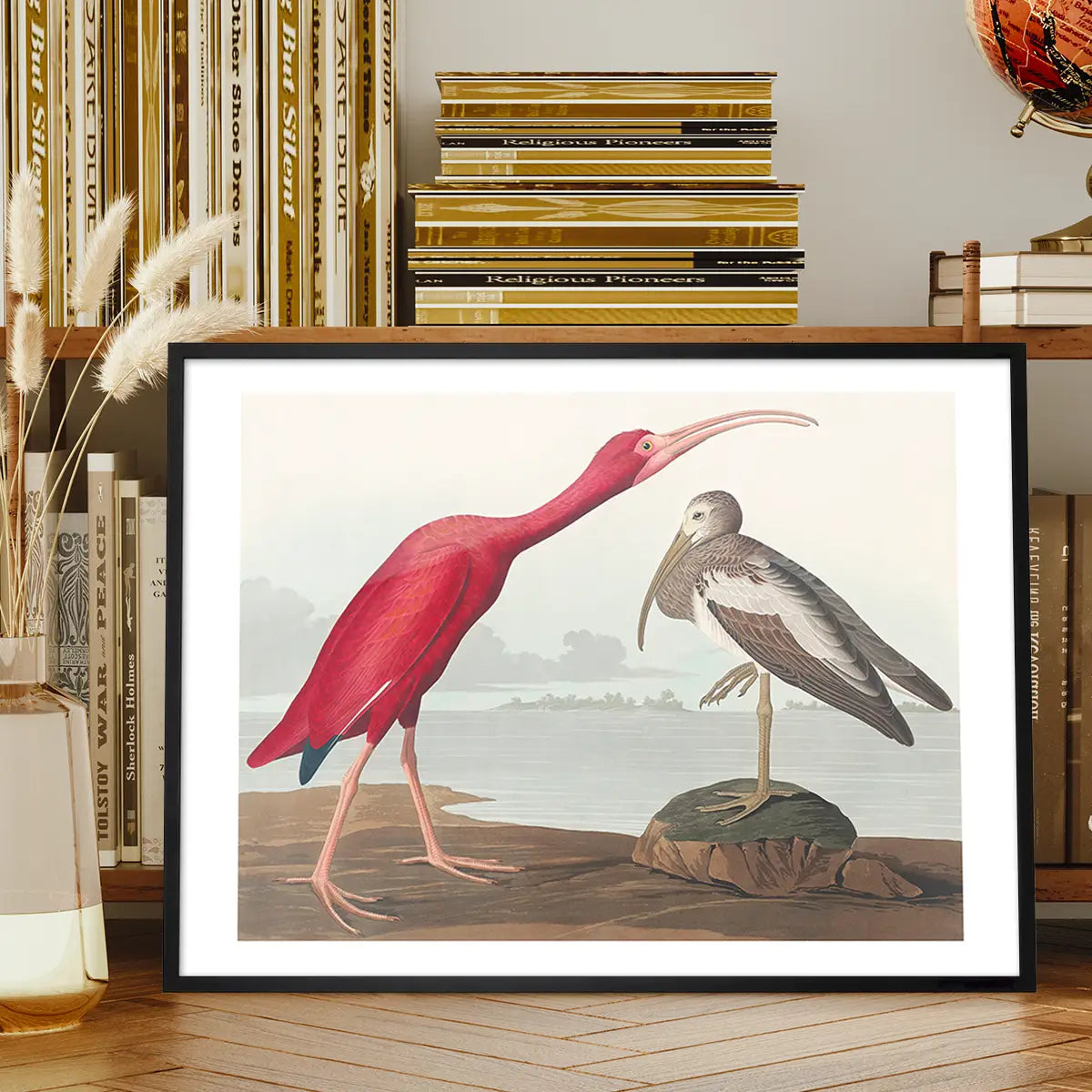 Scarlet Ibis Vintage Bird Print