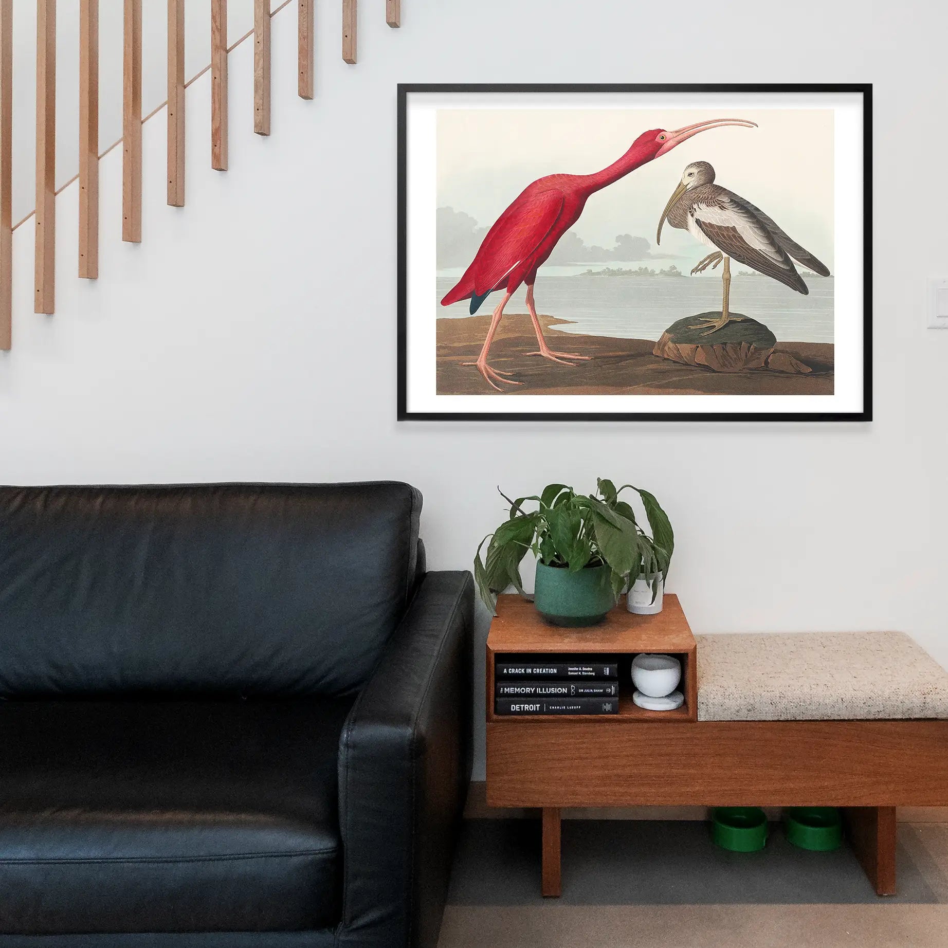 Scarlet Ibis Vintage Bird Print