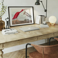Scarlet Ibis Vintage Bird Print