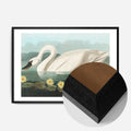 Black Wood Frame
