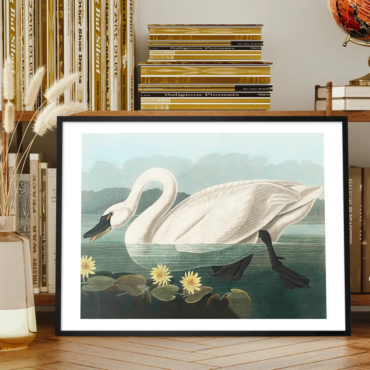 Common Swan Vintage Bird Print