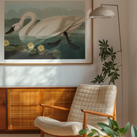 Common Swan Vintage Bird Print