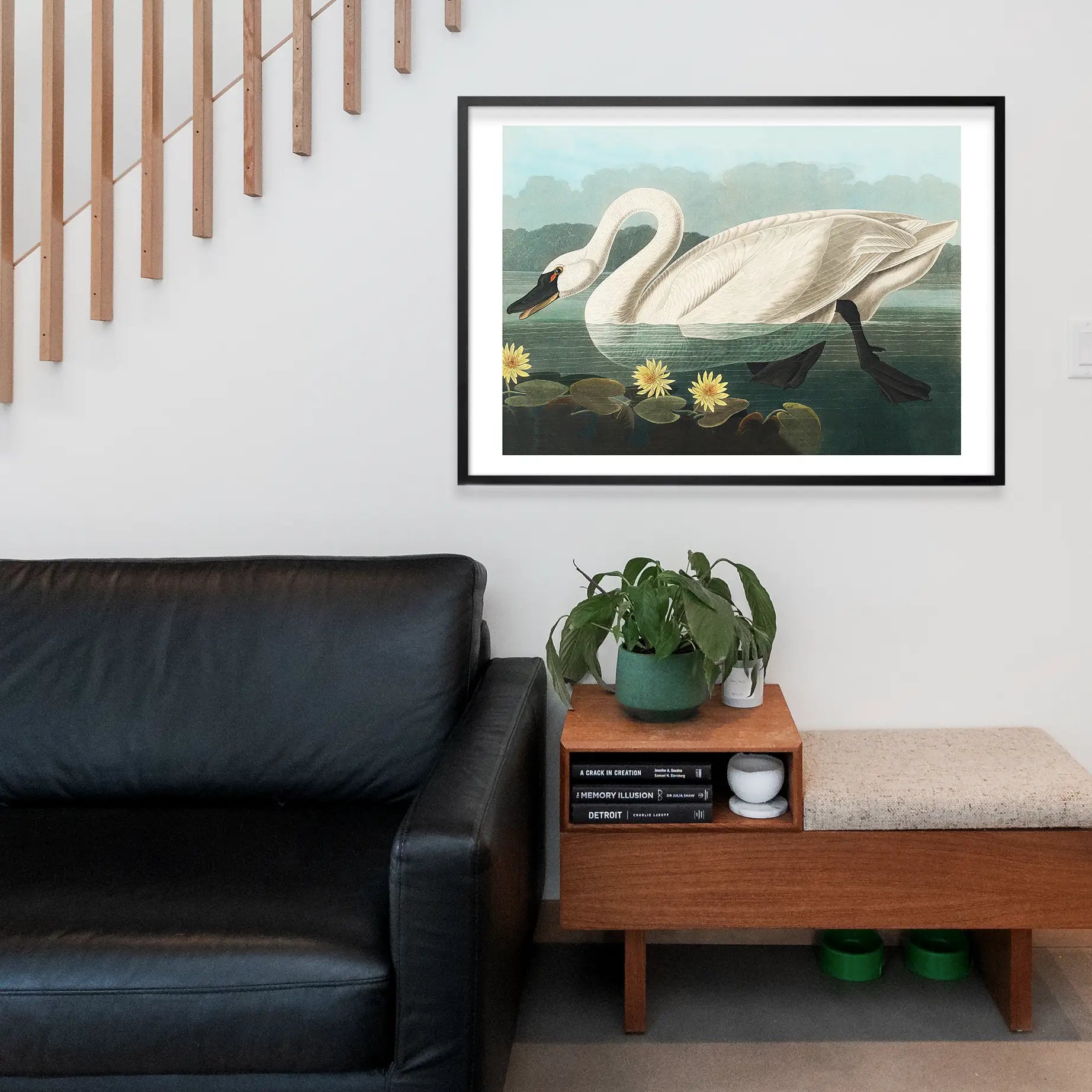 Common Swan Vintage Bird Print