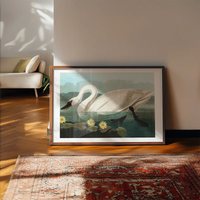 Common Swan Vintage Bird Print
