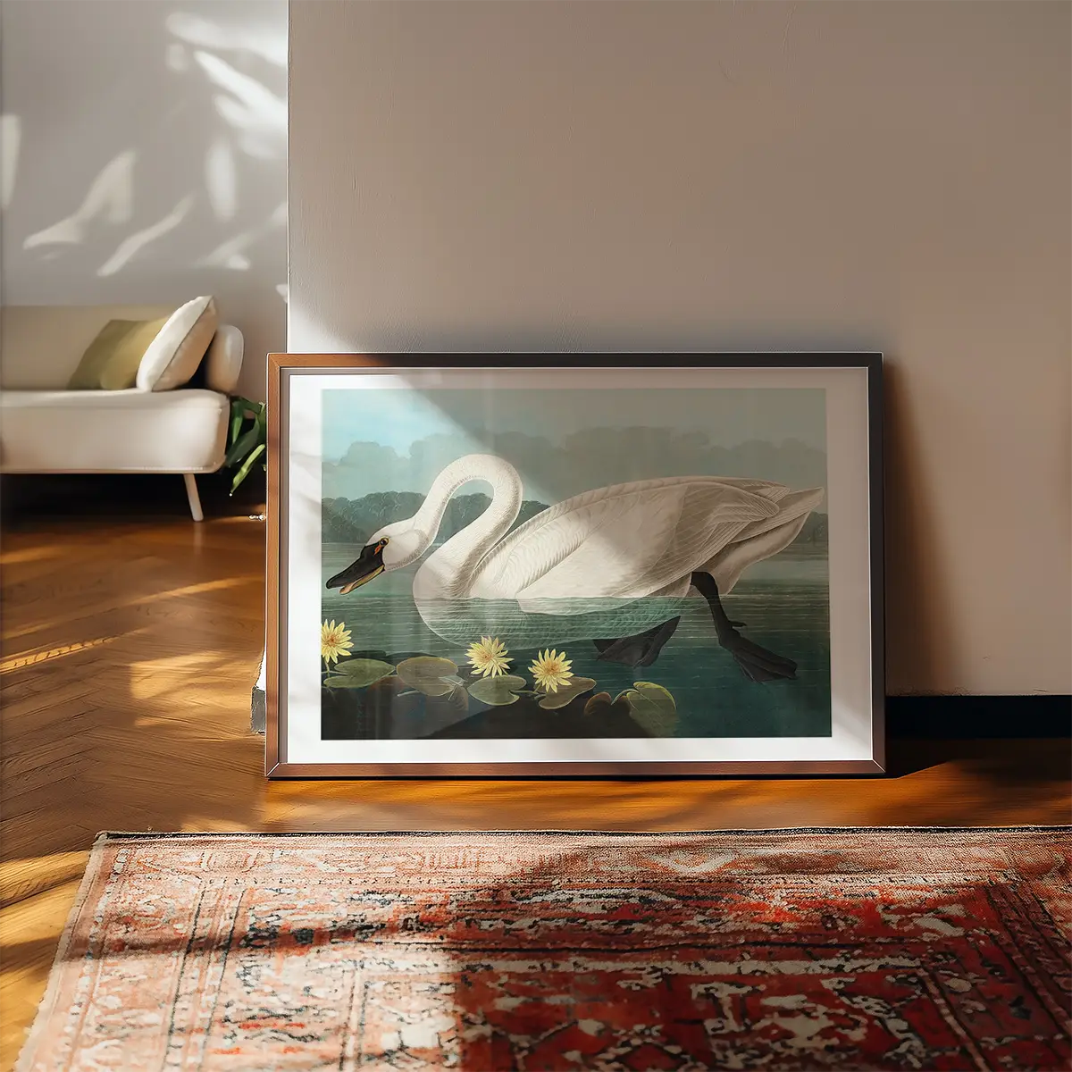 Common Swan Vintage Bird Print