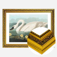 Common Swan Vintage Bird Print
