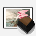 Black Wood Frame