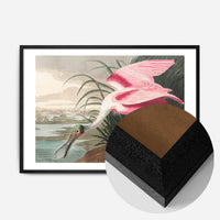 Spoonbill Vintage Bird Print