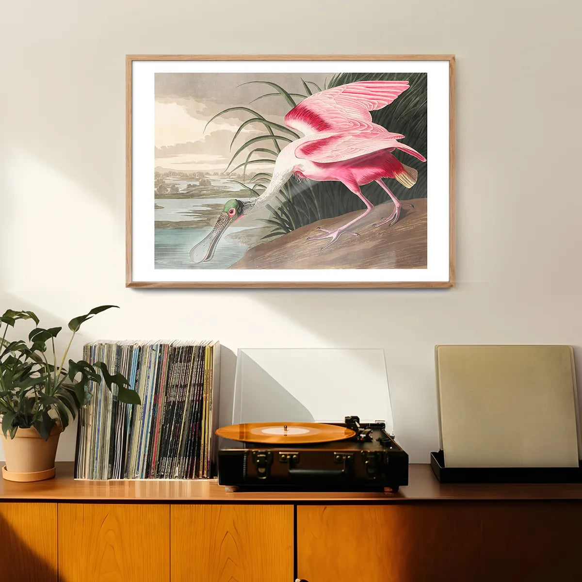 Spoonbill Vintage Bird Print