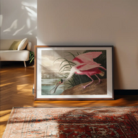 Spoonbill Vintage Bird Print