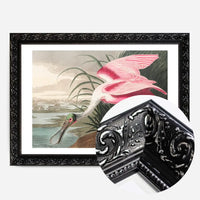 Spoonbill Vintage Bird Print