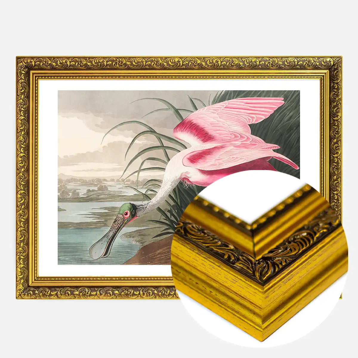 Spoonbill Vintage Bird Print