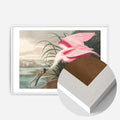 White Wood Frame