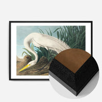 White Heron Vintage Bird Print