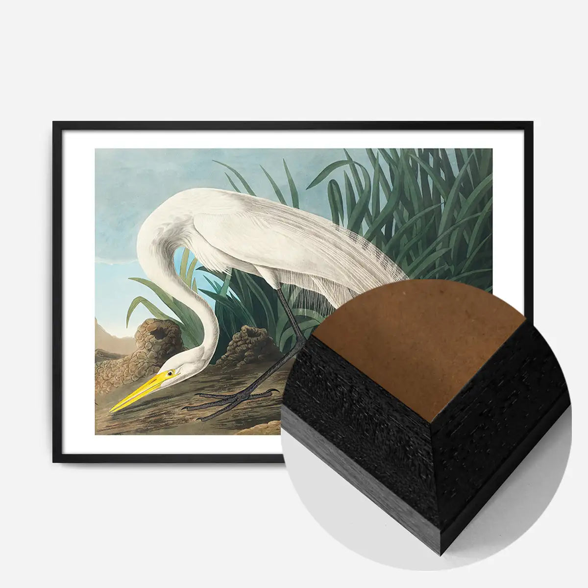 White Heron Vintage Bird Print