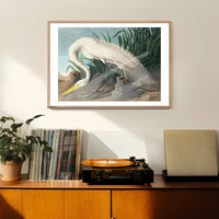 White Heron Vintage Bird Print