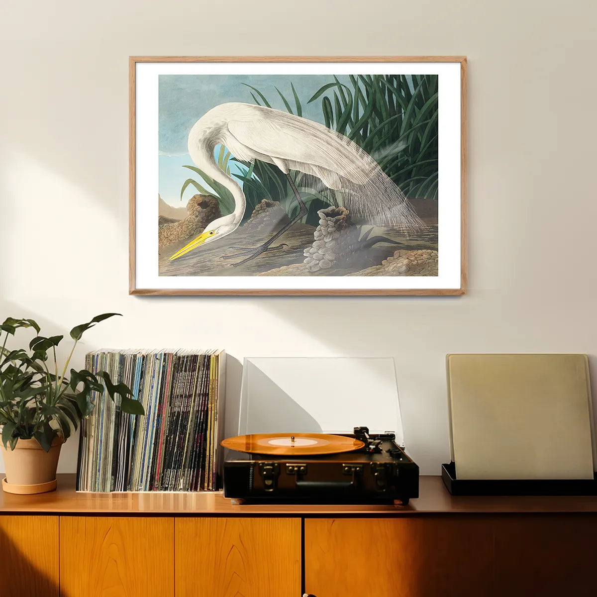 White Heron Vintage Bird Print