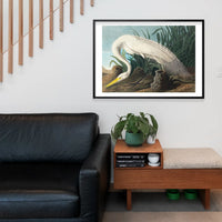 White Heron Vintage Bird Print