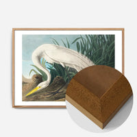 White Heron Vintage Bird Print